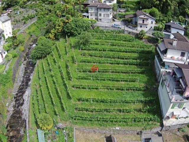 Wohnung kaufen in Terre di Pedemonte, Tessin