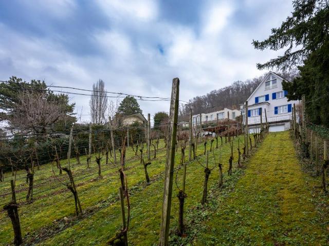 Grundstück kaufen in Muttenz, Basel-Landschaft