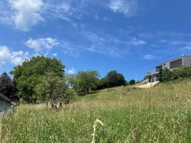 Grundstück kaufen in Liesberg, Basel-Landschaft
