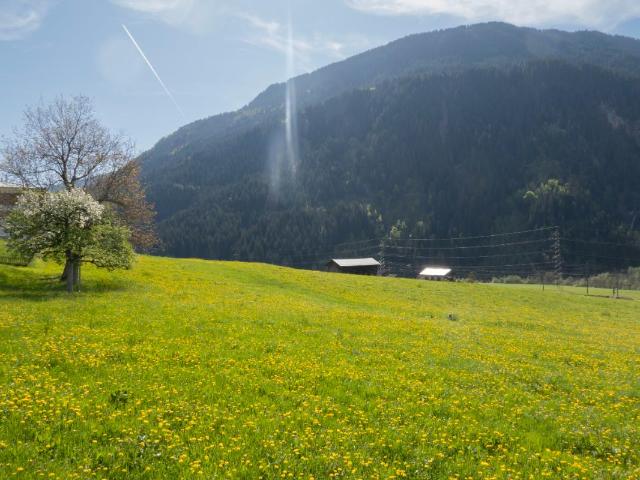 Grundstück kaufen in Sumvitg, Graubünden