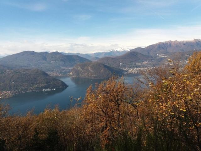 Immobilie kaufen in Vernate, Tessin