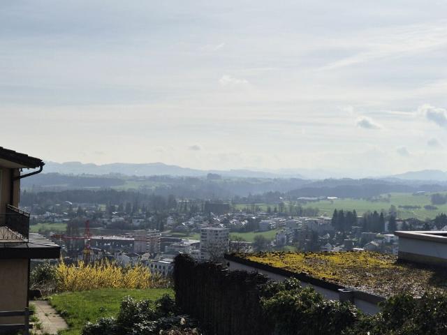 Grundstück kaufen in Oberuzwil, St. Gallen