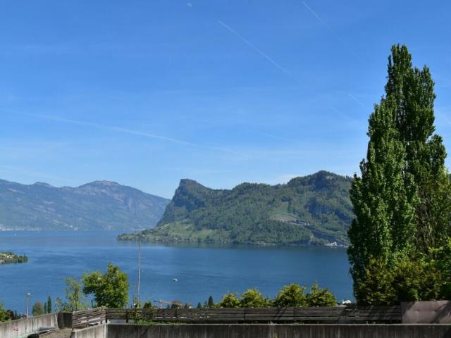 Grundstück kaufen in Hergiswil (NW), Nidwalden