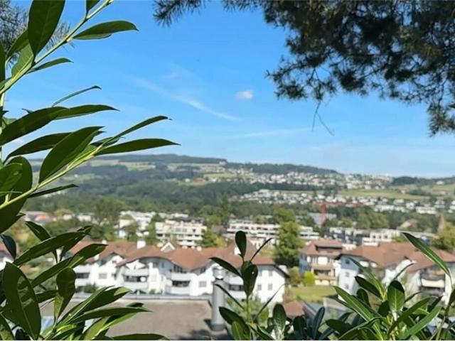 Immobilie kaufen in Bremgarten (AG), Aargau