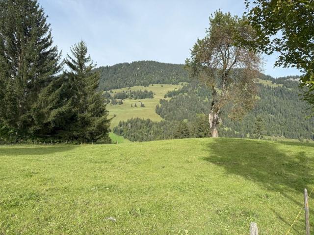 Immobilie kaufen in Zweisimmen, Bern