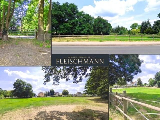 Erdgeschosswohnung kaufen in Mockrehna, Nordsachsen