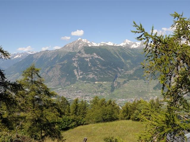 Grundstück kaufen in Isérables, Wallis