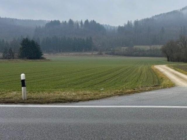 Grundstück kaufen in Zurzach, Aargau