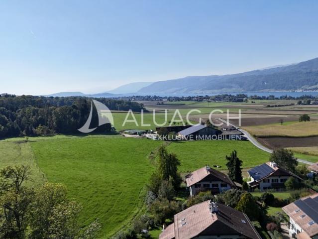 Immobilie kaufen in Bellmund, Bern