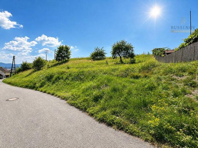 Immobilie kaufen in Kappel am Krappfeld, Kärnten