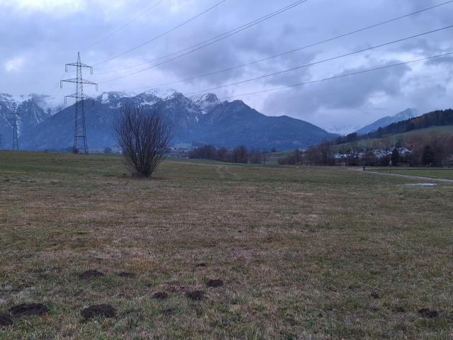 Grundstück kaufen in Gai, Steiermark