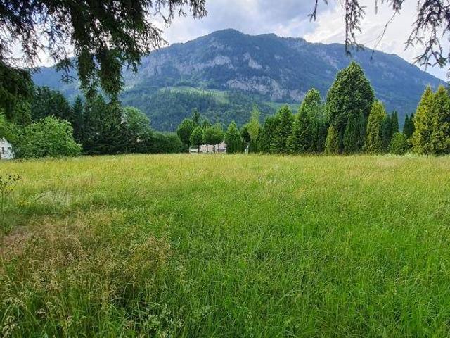 Immobilie kaufen in Spital am Pyhrn, Oberösterreich
