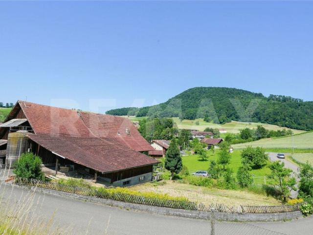 Immobilie kaufen in Kaisten, Aargau