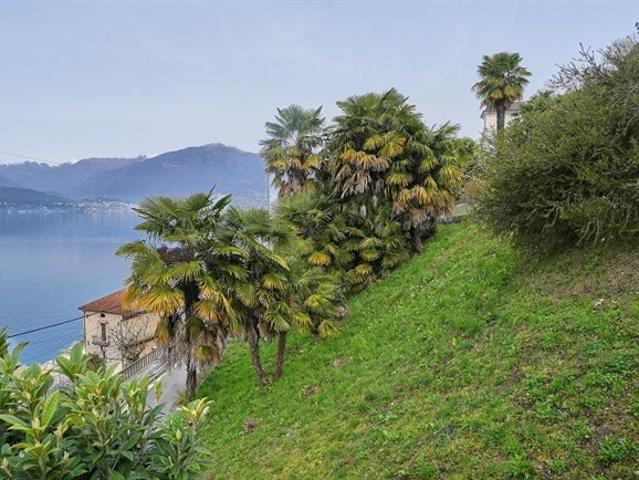Grundstück kaufen in Gerra, Gambarogno, Tessin