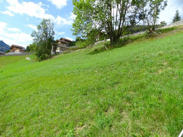 Grundstück kaufen in Mannried, Zweisimmen