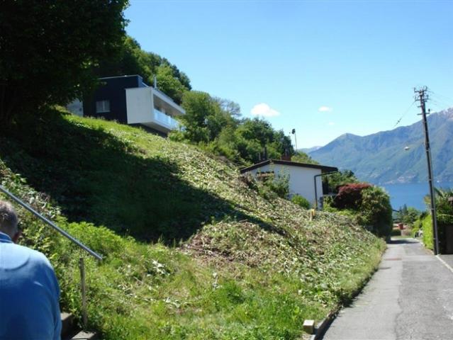 Grundstück kaufen in Gerra, Gambarogno, Tessin