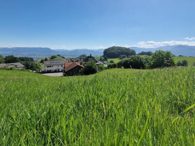 Immobilie kaufen in Walzenhausen, Appenzell Ausserrhoden
