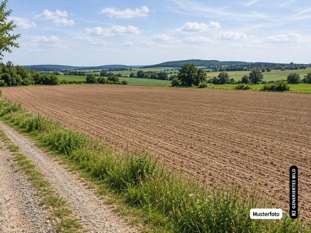 Landwirtschaft kaufen in Fautenbach, Achern