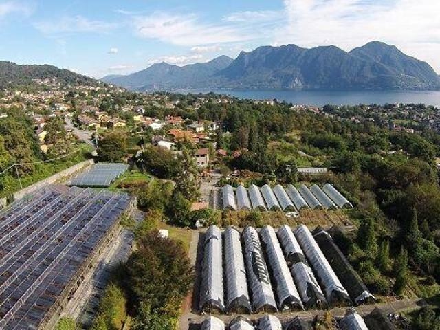 Immobilie kaufen in Sachseln, Obwalden