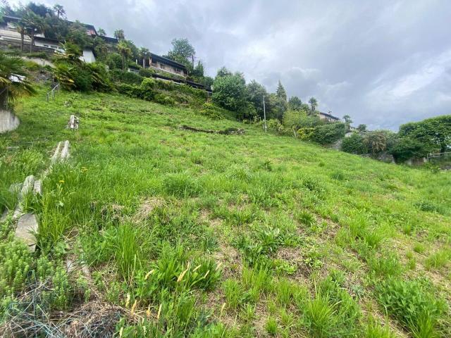 Immobilie kaufen in Cugnasco-Gerra, Tessin
