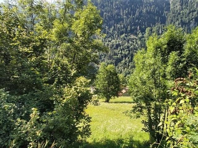 Grundstück kaufen in Faido, Tessin