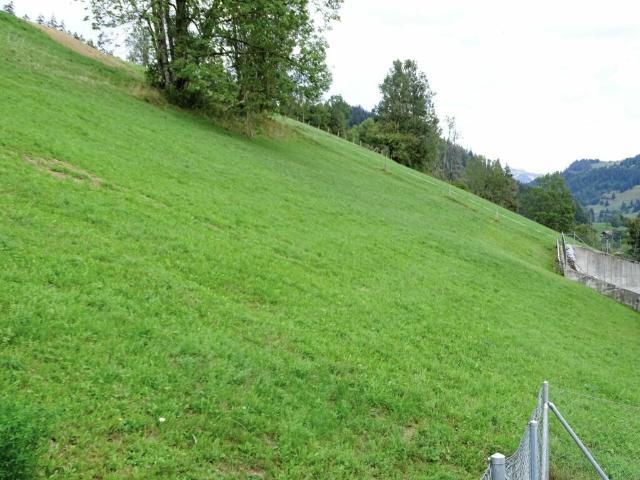 Grundstück kaufen in Mannried, Zweisimmen
