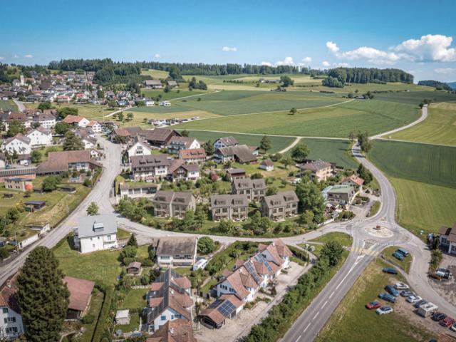 Immobilie kaufen in Schneisingen, Aargau