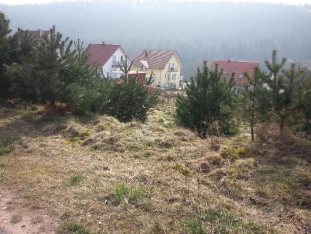 Landwirtschaft kaufen in Elmstein, Rheinland-Pfalz