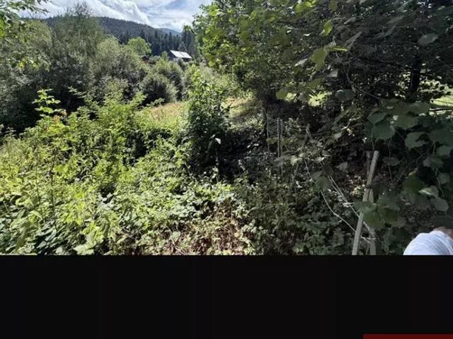 Immobilie kaufen in Bern
