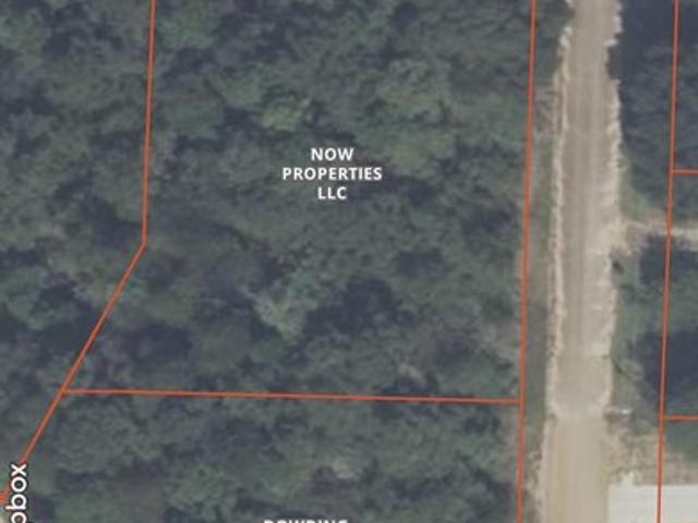 Land for sale in Ashford, Alabama