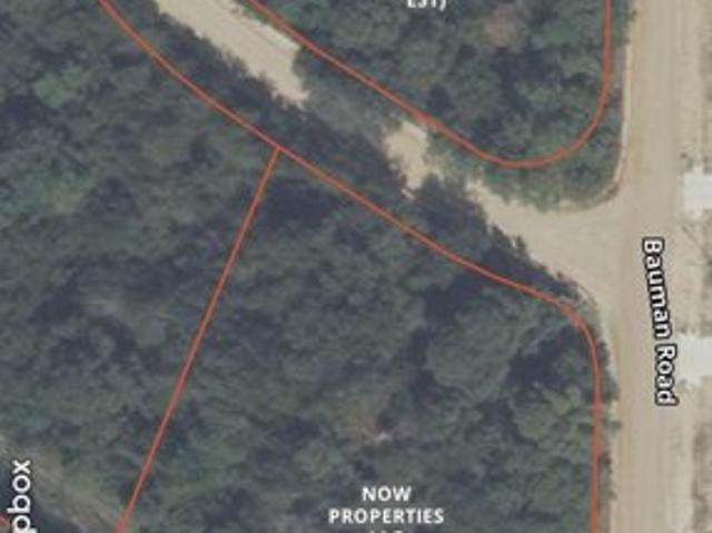 Land for sale in Ashford, Alabama