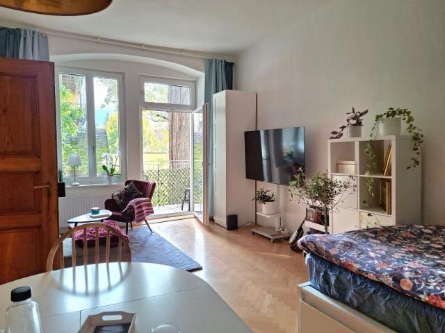 Apartment mieten in Altstadtviertel, Linz