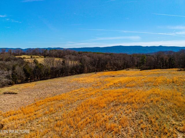 Land for sale in Tennessee