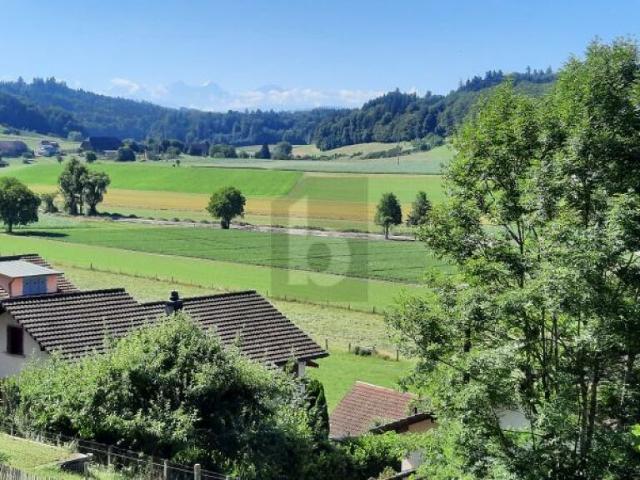 Immobilie kaufen in Ersigen, Bern