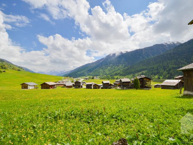 Immobilie kaufen in Grafschaft, Wallis
