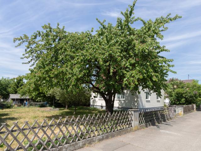Erdgeschosswohnung mieten in Manching, Bayern