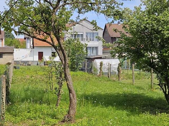 Erdgeschosswohnung kaufen in Weingarten, Baden-Württemberg