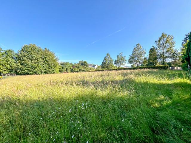 Erdgeschosswohnung kaufen in Wied, Rheinland-Pfalz