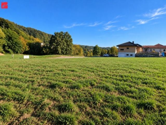 Grundstück kaufen in Ottendorf an der Rittschein, Bezirk Hartberg-Fürstenfeld
