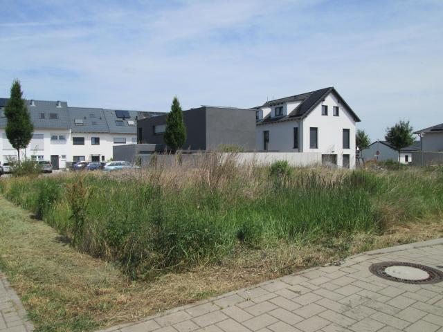 Erdgeschosswohnung mieten in In der Bitz, Grünstadt