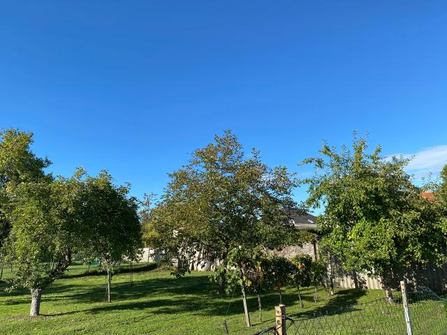 Grundstück kaufen in Breitenbrunn am Neusiedler See, Burgenland