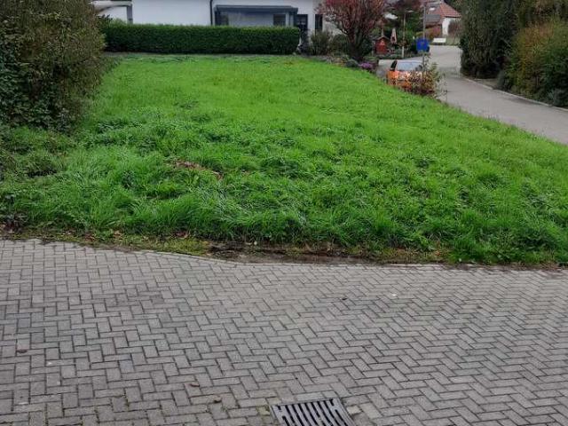 Erdgeschosswohnung kaufen in Arzheim, Landau in der Pfalz