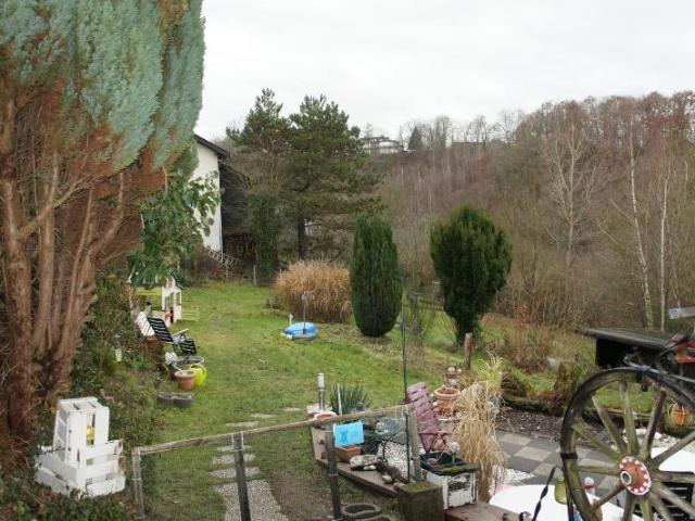 Erdgeschosswohnung kaufen in Frankenthal, Wissen
