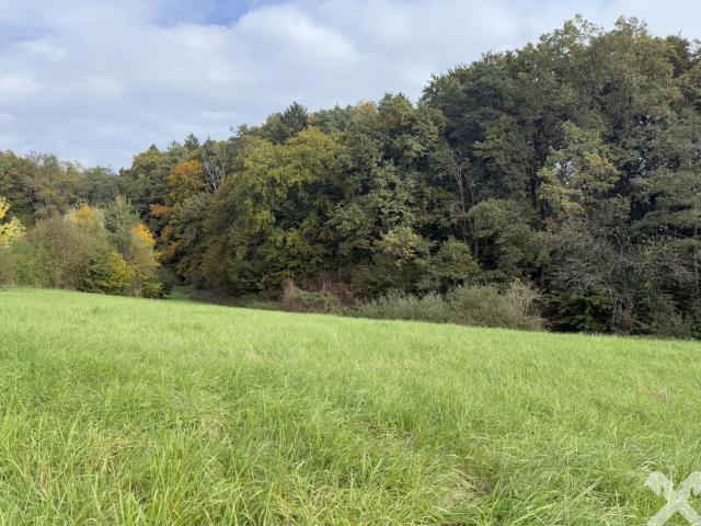 Grundstück kaufen in Ilz, Steiermark