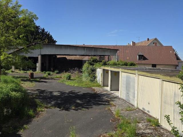 Erdgeschosswohnung kaufen in Bad Dürkheim, Rheinland-Pfalz