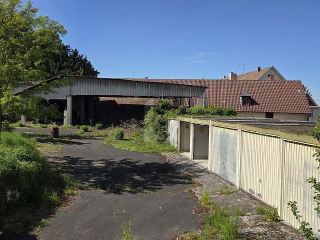 Erdgeschosswohnung kaufen in Bad Dürkheim, Landkreis Bad Dürkheim