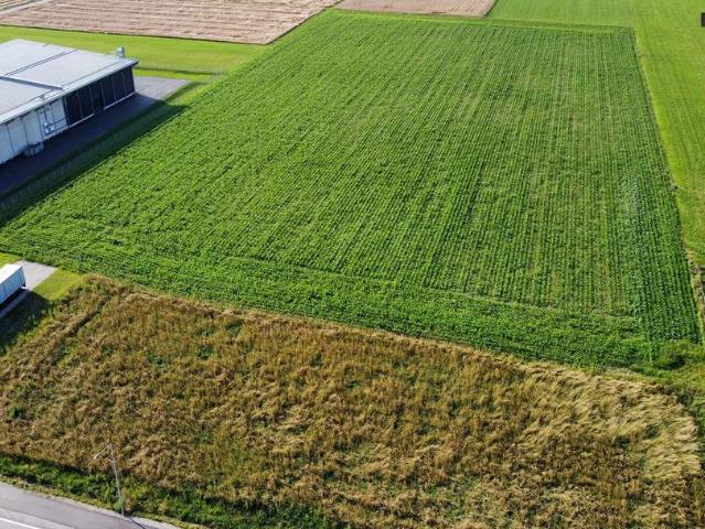 Grundstück mieten in Steiermark