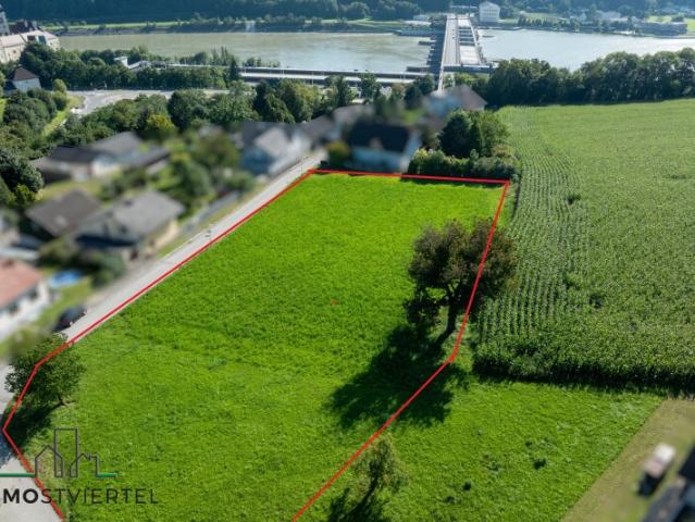 Immobilie kaufen in Hofamt Priel, Niederösterreich