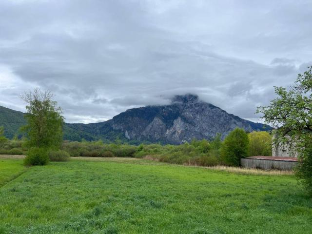 Immobilie kaufen in Ebensee, Oberösterreich