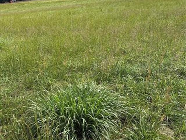 Land for sale in Easton, Leavenworth County